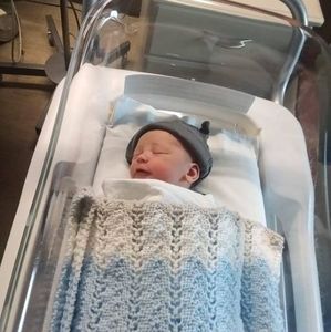 Meet your Posher, Lily